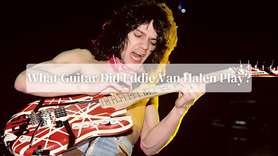 What Guitar Did Eddie Van Halen Play?